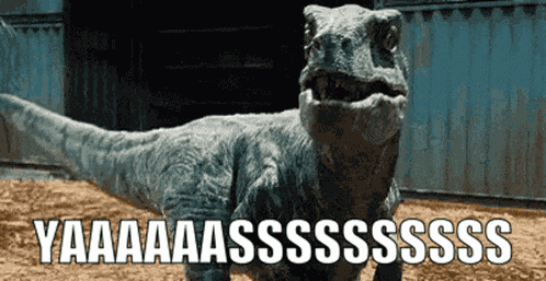 Raptor Yaaaaaassssssssss GIF