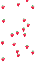 Raspberryies Raspberries Sticker