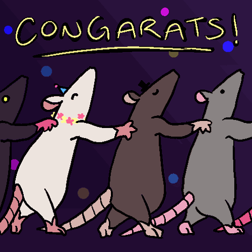 Rat Conga GIF