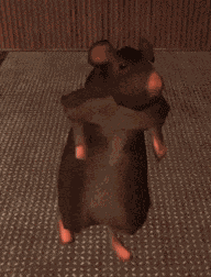 Rat Dance GIF