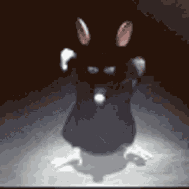Rat Dance GIF