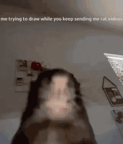 Rat Drawing Yes Rats GIF
