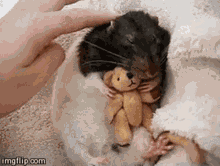 Rat Hugging Plushie GIF