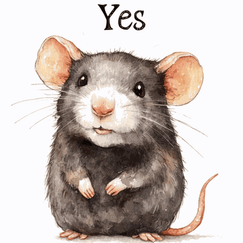 Rat Mouse GIF