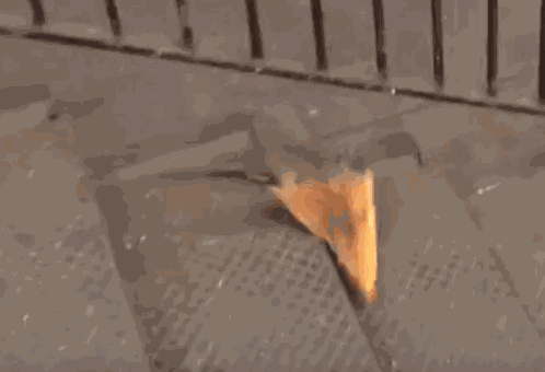 Pizza Rat GIFs
