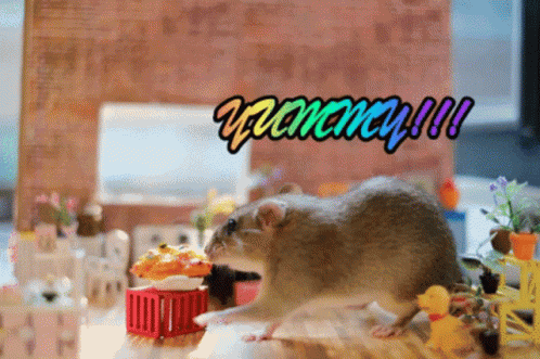 Rat Rat Eats Pizza GIF