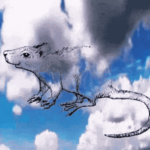 Rat Rats GIF