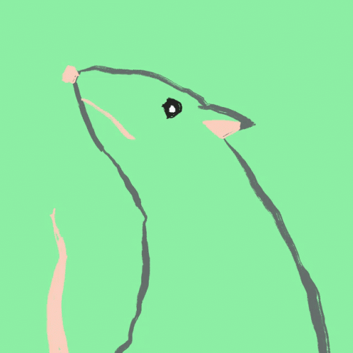 Rat Rave GIF