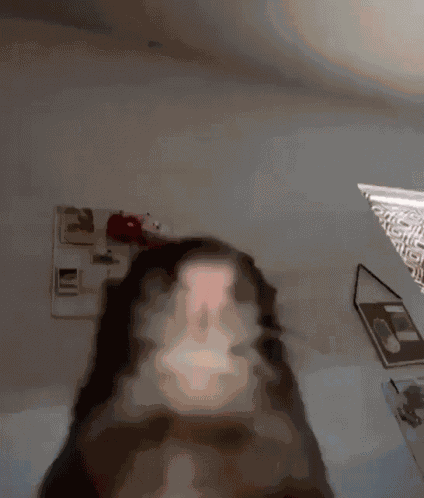Rat Rodent GIF