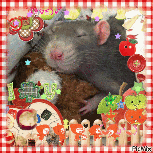 Rat Sleepy Rat GIF