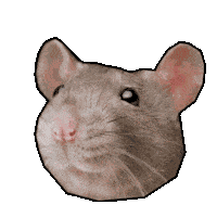 Rataldo Raton Sticker