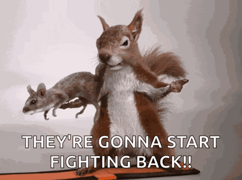 Ratatata Bang Bang GIF