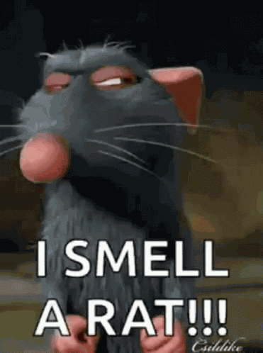 Ratatouille GIF