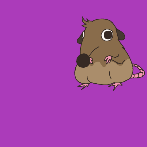 Ratencio Nivoraanimation GIF