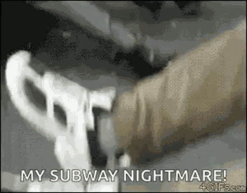 Rats Animals GIF