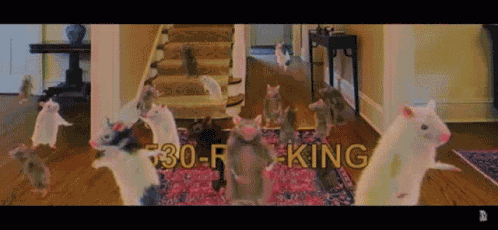 Rats Dance GIF