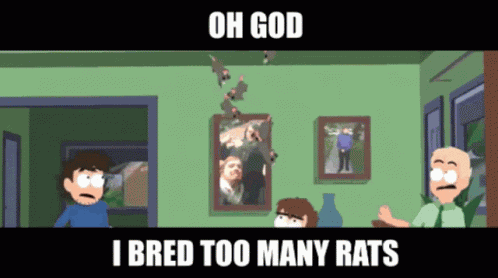 Rats Piemations GIF