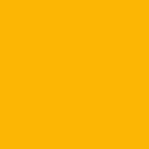 Rats United Logo GIF