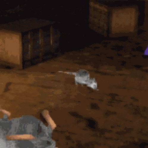 Rats We Are The Rats GIF