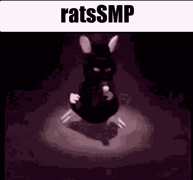 Ratssmp Minecraft GIF