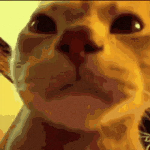 Rave Party GIF