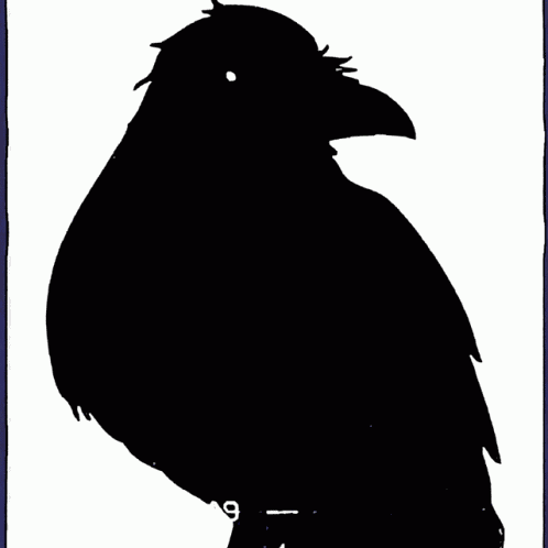 Raven Crow GIF