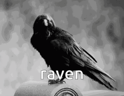 Raven GIF