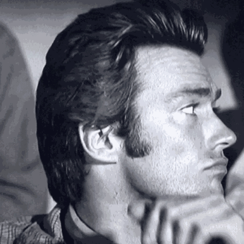 Rawhide Clint GIF