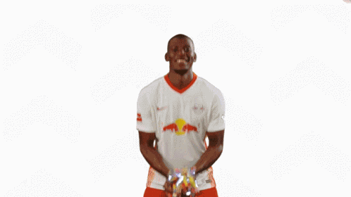 Rbl Rb Leipzig GIF