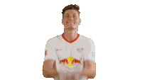 Rbl Rb Leipzig Sticker