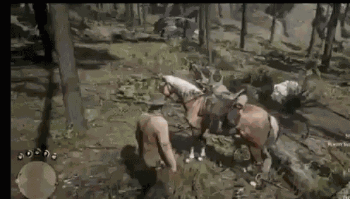 Rdr2 Horse GIF