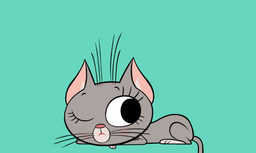 Reaction Cat GIF