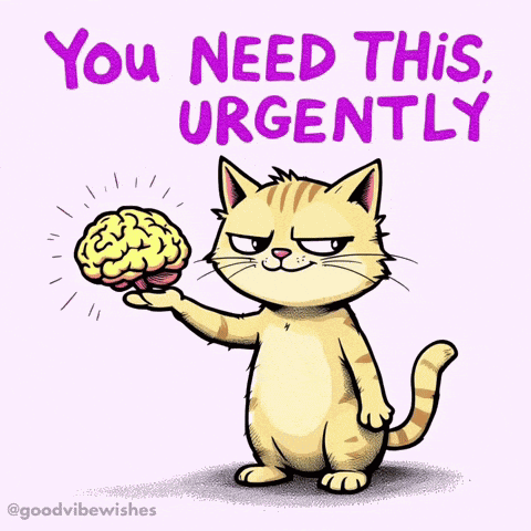Reaction Cat GIF