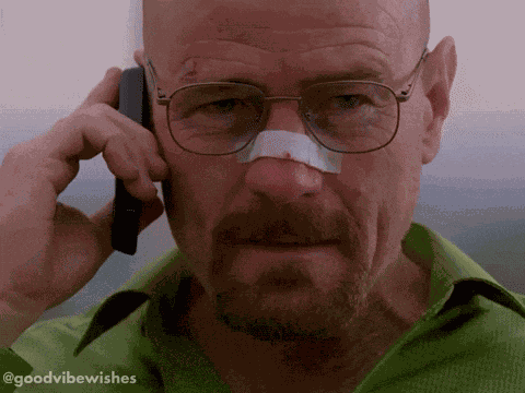 Reaction Celebration GIF