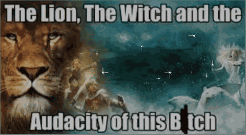 Reaction Meme The Lion The Witch And The Wardrobe GIF