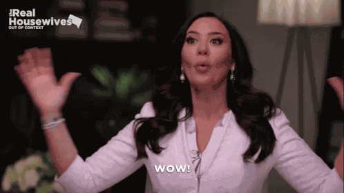 Real Housewives Housewives GIF