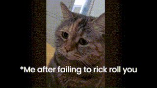 Really Sus Cat Sad Cat Rickroll GIF