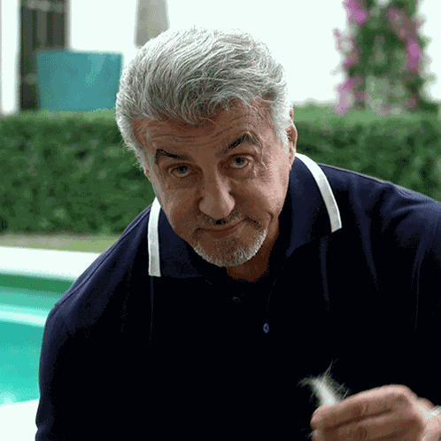 Really Sylvester Stallone GIF