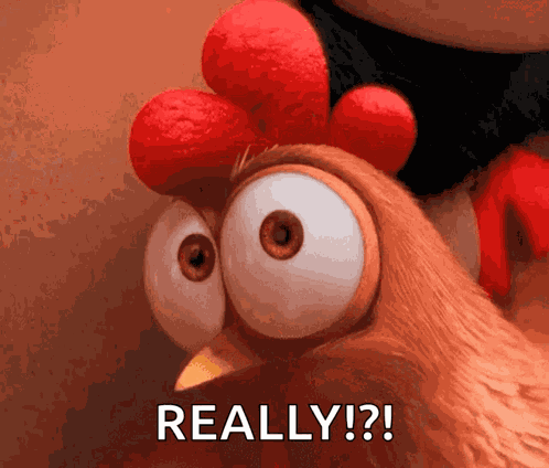 Really What GIF