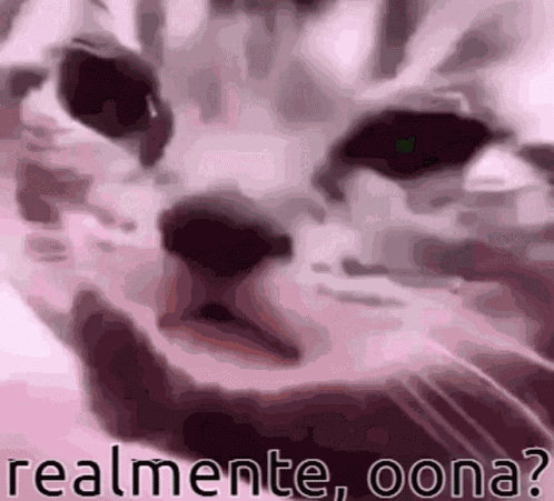 Realmente Oona GIF