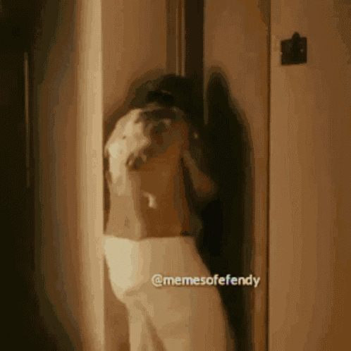 Recep Ivedik GIF