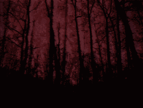 Red Aesthetic Woods GIF