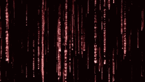 Red Binary Code GIF