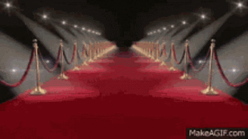 Red Carpet Ball Events GIF