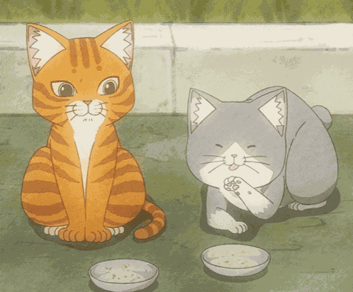 Red Cat GIF