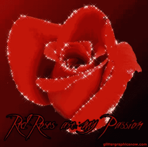 Red Roses Shiny GIF