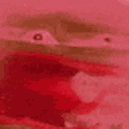 Reee Pepe GIF