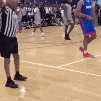 Ref Referee GIF
