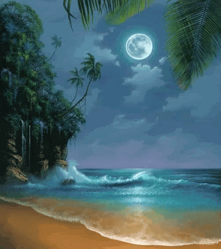Reflections GIF