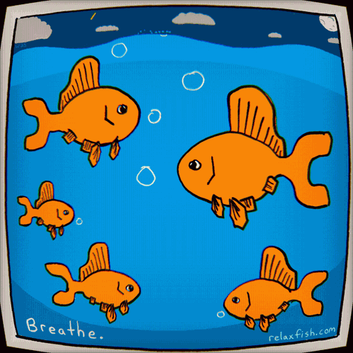Relax Fish GIF